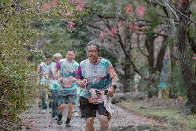 2026左岸竹東櫻花馬拉松Zhudong Sakura Marathon
