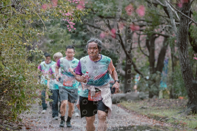 2026左岸竹東櫻花馬拉松Zhudong Sakura Marathon