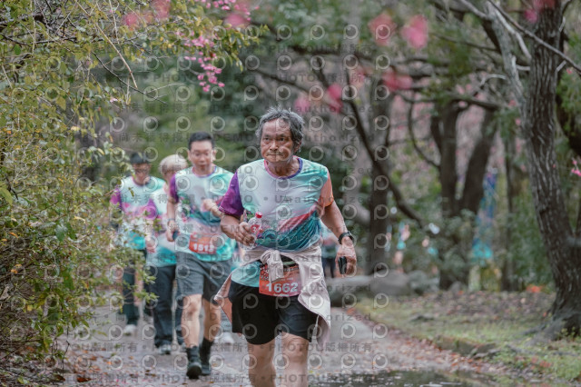 2026左岸竹東櫻花馬拉松Zhudong Sakura Marathon