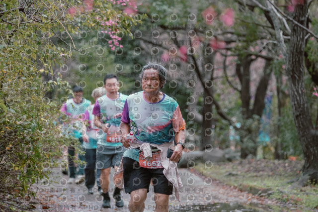 2026左岸竹東櫻花馬拉松Zhudong Sakura Marathon