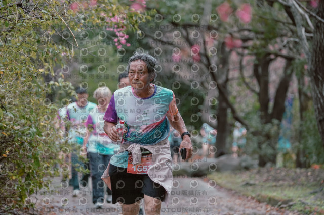 2026左岸竹東櫻花馬拉松Zhudong Sakura Marathon
