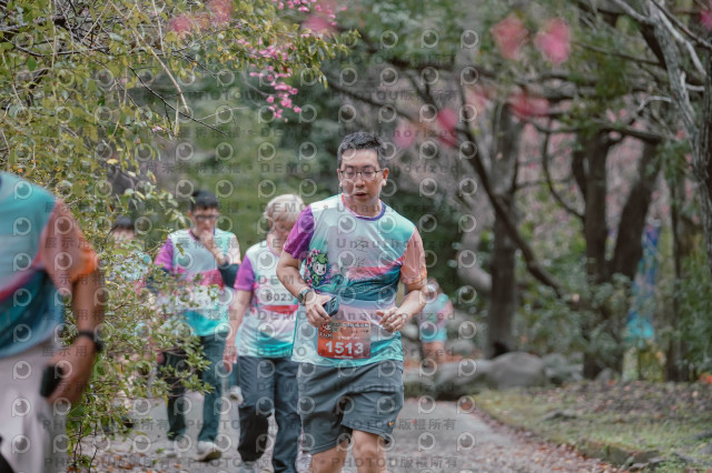 2026左岸竹東櫻花馬拉松Zhudong Sakura Marathon
