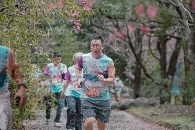 2026左岸竹東櫻花馬拉松Zhudong Sakura Marathon