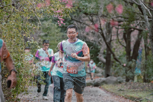 2026左岸竹東櫻花馬拉松Zhudong Sakura Marathon
