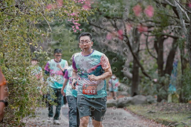 2026左岸竹東櫻花馬拉松Zhudong Sakura Marathon