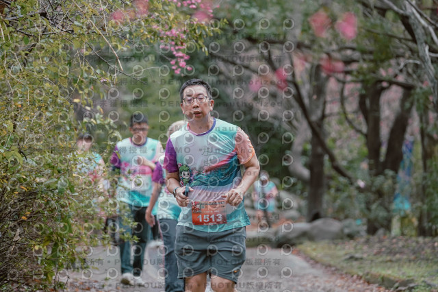 2026左岸竹東櫻花馬拉松Zhudong Sakura Marathon