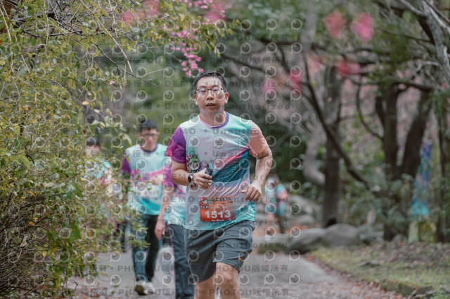 2026左岸竹東櫻花馬拉松Zhudong Sakura Marathon