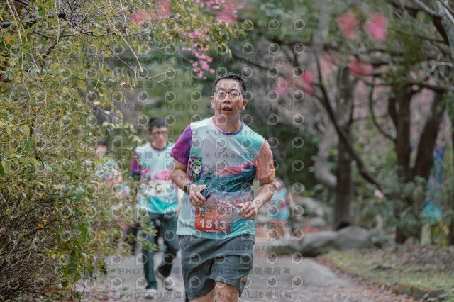 2026左岸竹東櫻花馬拉松Zhudong Sakura Marathon
