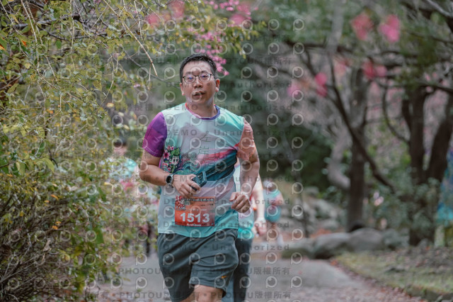 2026左岸竹東櫻花馬拉松Zhudong Sakura Marathon