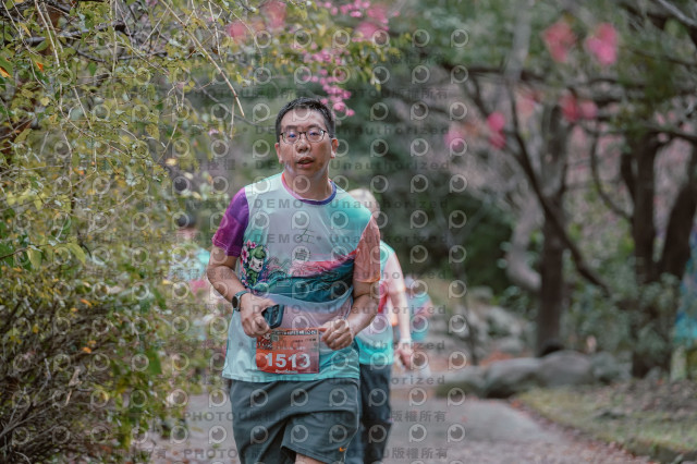 2026左岸竹東櫻花馬拉松Zhudong Sakura Marathon