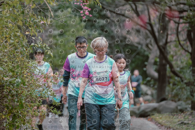 2026左岸竹東櫻花馬拉松Zhudong Sakura Marathon