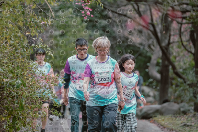 2026左岸竹東櫻花馬拉松Zhudong Sakura Marathon