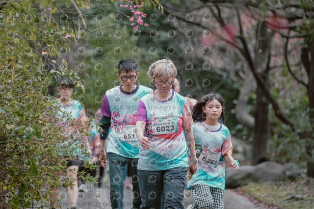 2026左岸竹東櫻花馬拉松Zhudong Sakura Marathon