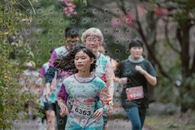 2026左岸竹東櫻花馬拉松Zhudong Sakura Marathon