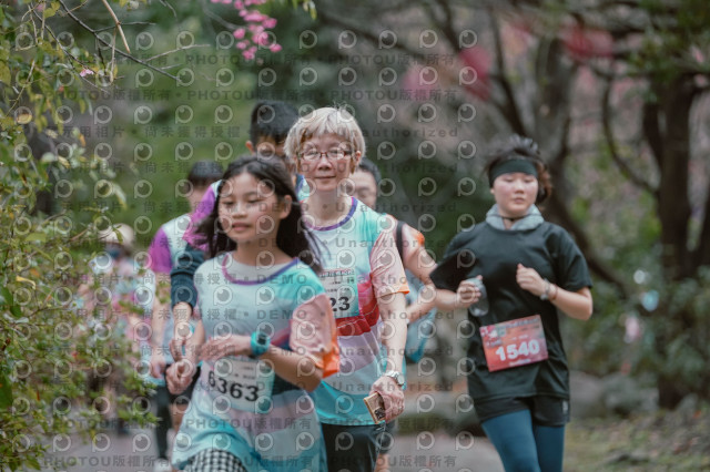 2026左岸竹東櫻花馬拉松Zhudong Sakura Marathon