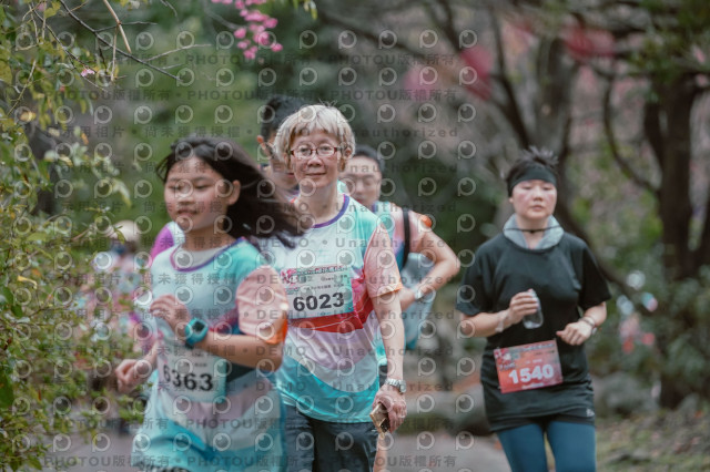 2026左岸竹東櫻花馬拉松Zhudong Sakura Marathon