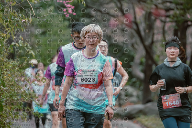 2026左岸竹東櫻花馬拉松Zhudong Sakura Marathon