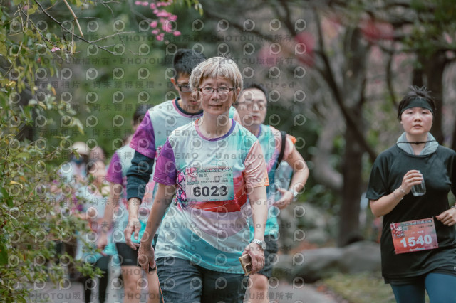 2026左岸竹東櫻花馬拉松Zhudong Sakura Marathon