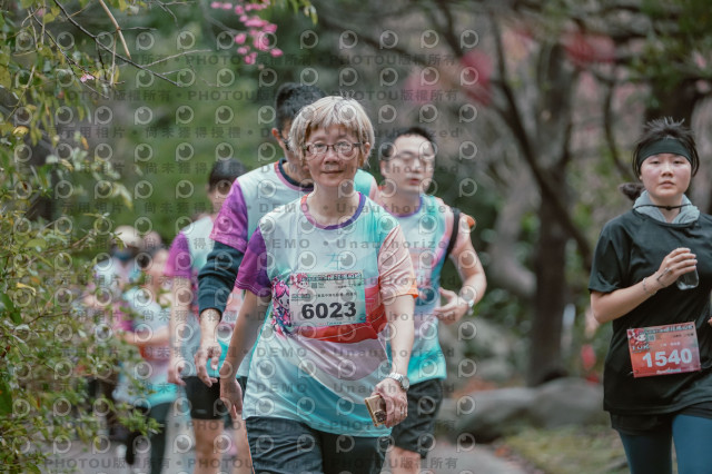 2026左岸竹東櫻花馬拉松Zhudong Sakura Marathon