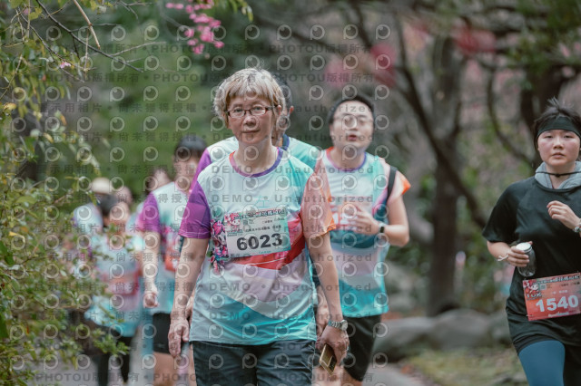 2026左岸竹東櫻花馬拉松Zhudong Sakura Marathon