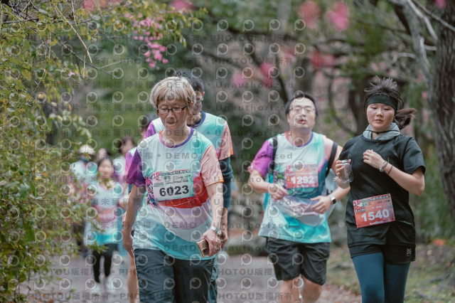 2026左岸竹東櫻花馬拉松Zhudong Sakura Marathon