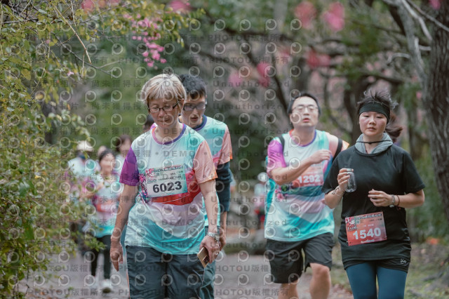 2026左岸竹東櫻花馬拉松Zhudong Sakura Marathon