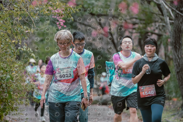2026左岸竹東櫻花馬拉松Zhudong Sakura Marathon