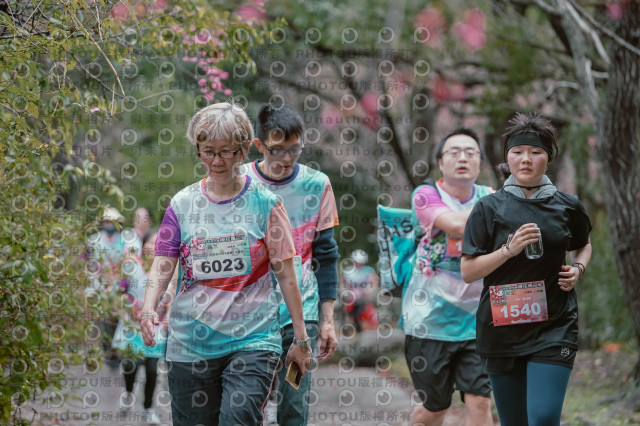 2026左岸竹東櫻花馬拉松Zhudong Sakura Marathon