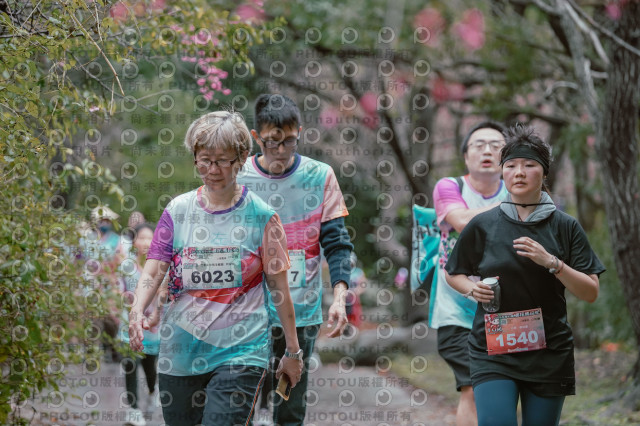 2026左岸竹東櫻花馬拉松Zhudong Sakura Marathon
