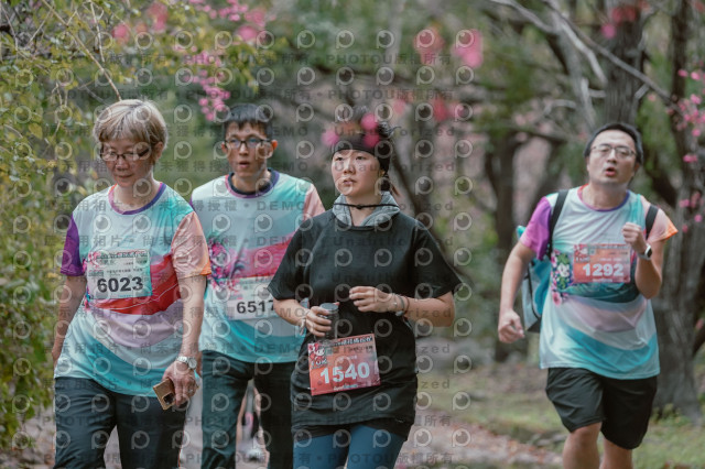 2026左岸竹東櫻花馬拉松Zhudong Sakura Marathon
