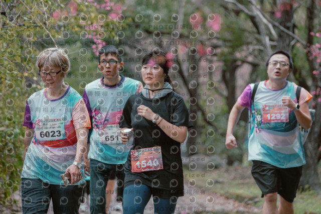 2026左岸竹東櫻花馬拉松Zhudong Sakura Marathon