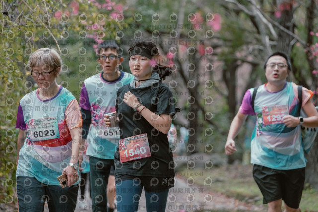 2026左岸竹東櫻花馬拉松Zhudong Sakura Marathon