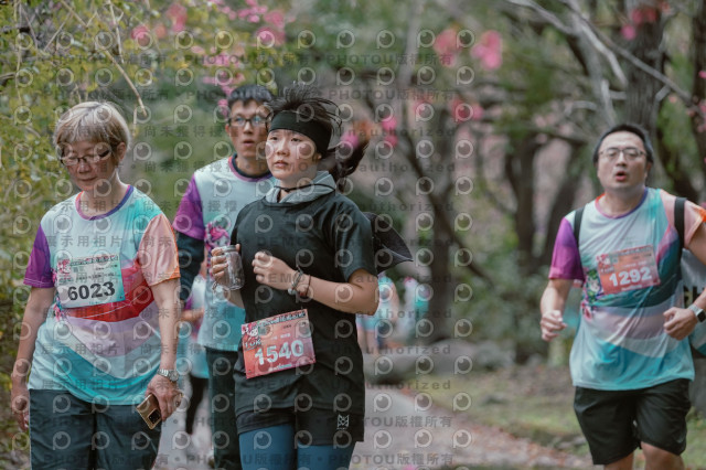 2026左岸竹東櫻花馬拉松Zhudong Sakura Marathon