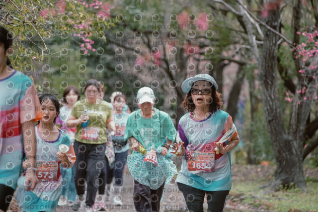2026左岸竹東櫻花馬拉松Zhudong Sakura Marathon