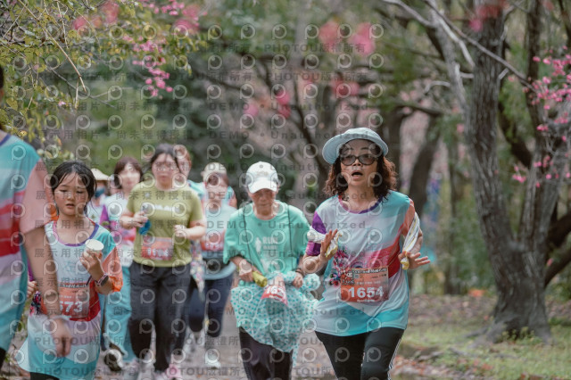 2026左岸竹東櫻花馬拉松Zhudong Sakura Marathon