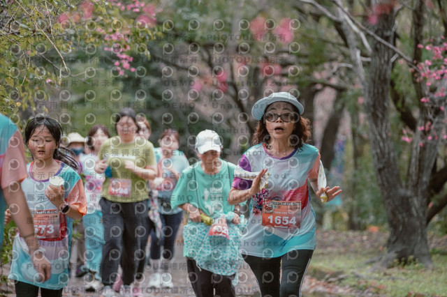 2026左岸竹東櫻花馬拉松Zhudong Sakura Marathon