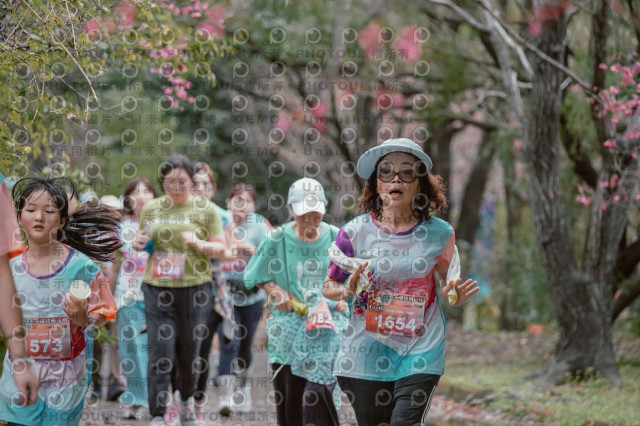 2026左岸竹東櫻花馬拉松Zhudong Sakura Marathon