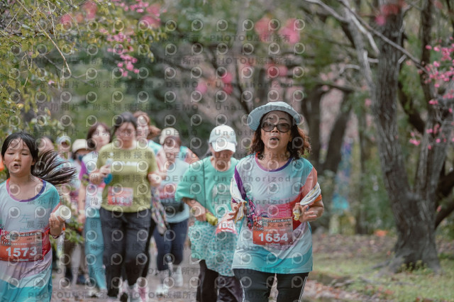 2026左岸竹東櫻花馬拉松Zhudong Sakura Marathon
