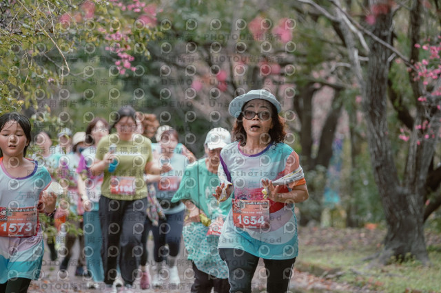 2026左岸竹東櫻花馬拉松Zhudong Sakura Marathon