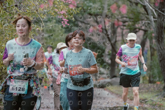 2026左岸竹東櫻花馬拉松Zhudong Sakura Marathon