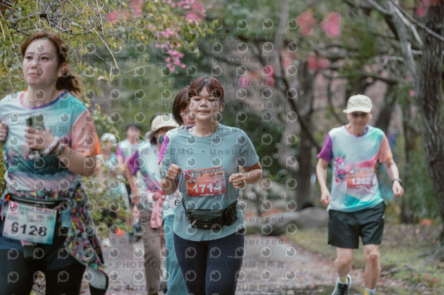 2026左岸竹東櫻花馬拉松Zhudong Sakura Marathon