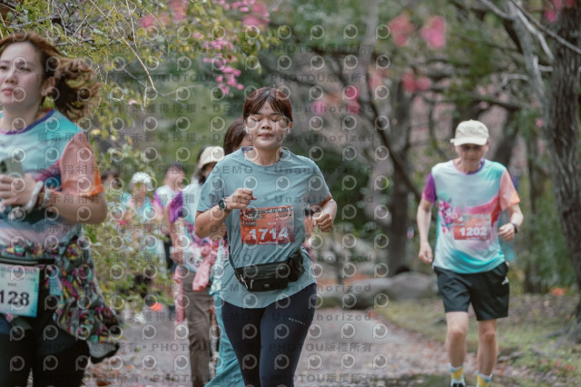 2026左岸竹東櫻花馬拉松Zhudong Sakura Marathon