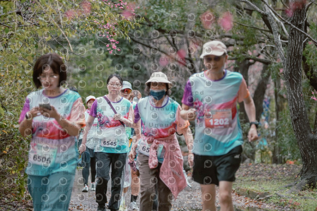 2026左岸竹東櫻花馬拉松Zhudong Sakura Marathon