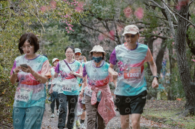 2026左岸竹東櫻花馬拉松Zhudong Sakura Marathon