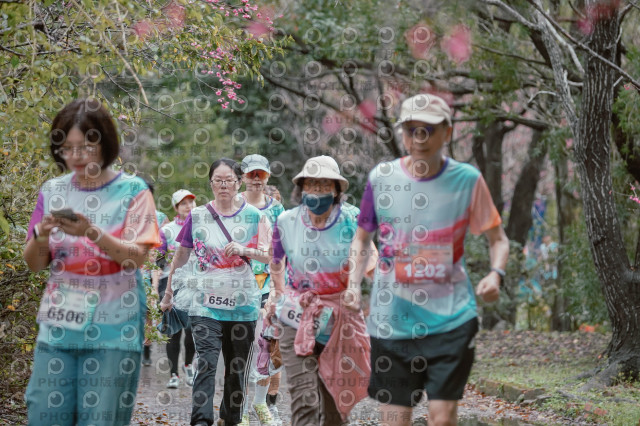 2026左岸竹東櫻花馬拉松Zhudong Sakura Marathon