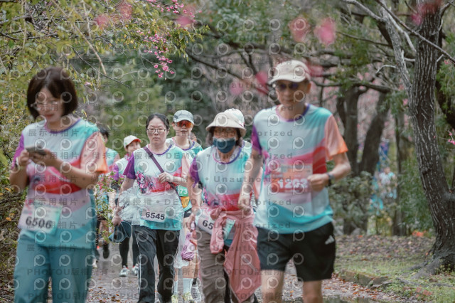 2026左岸竹東櫻花馬拉松Zhudong Sakura Marathon