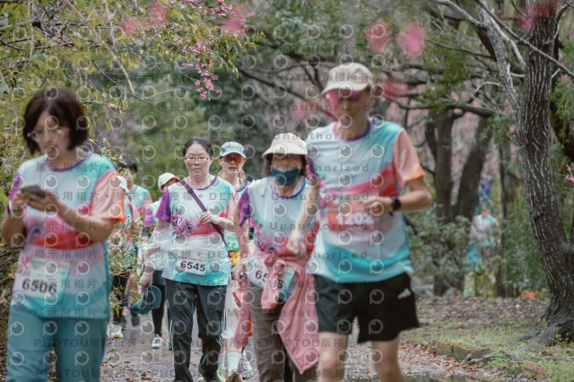 2026左岸竹東櫻花馬拉松Zhudong Sakura Marathon
