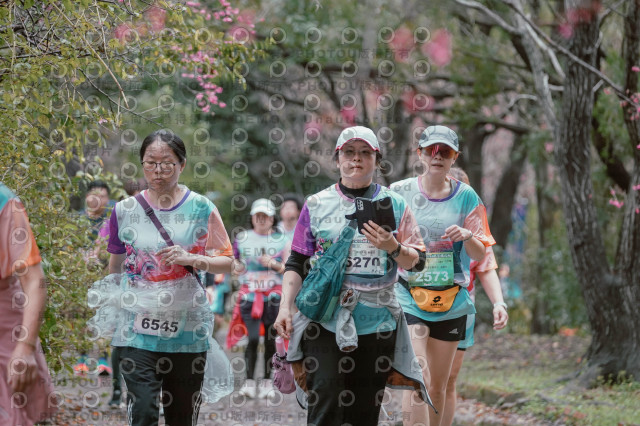 2026左岸竹東櫻花馬拉松Zhudong Sakura Marathon
