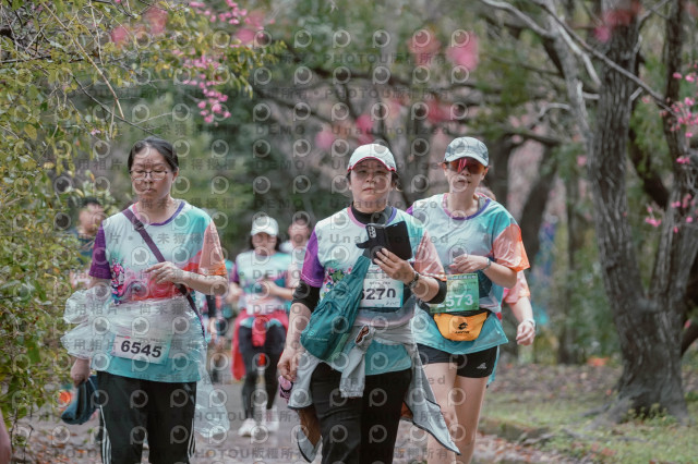 2026左岸竹東櫻花馬拉松Zhudong Sakura Marathon