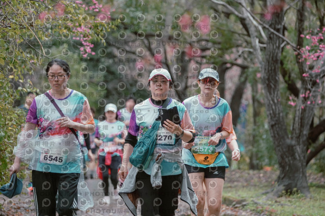 2026左岸竹東櫻花馬拉松Zhudong Sakura Marathon